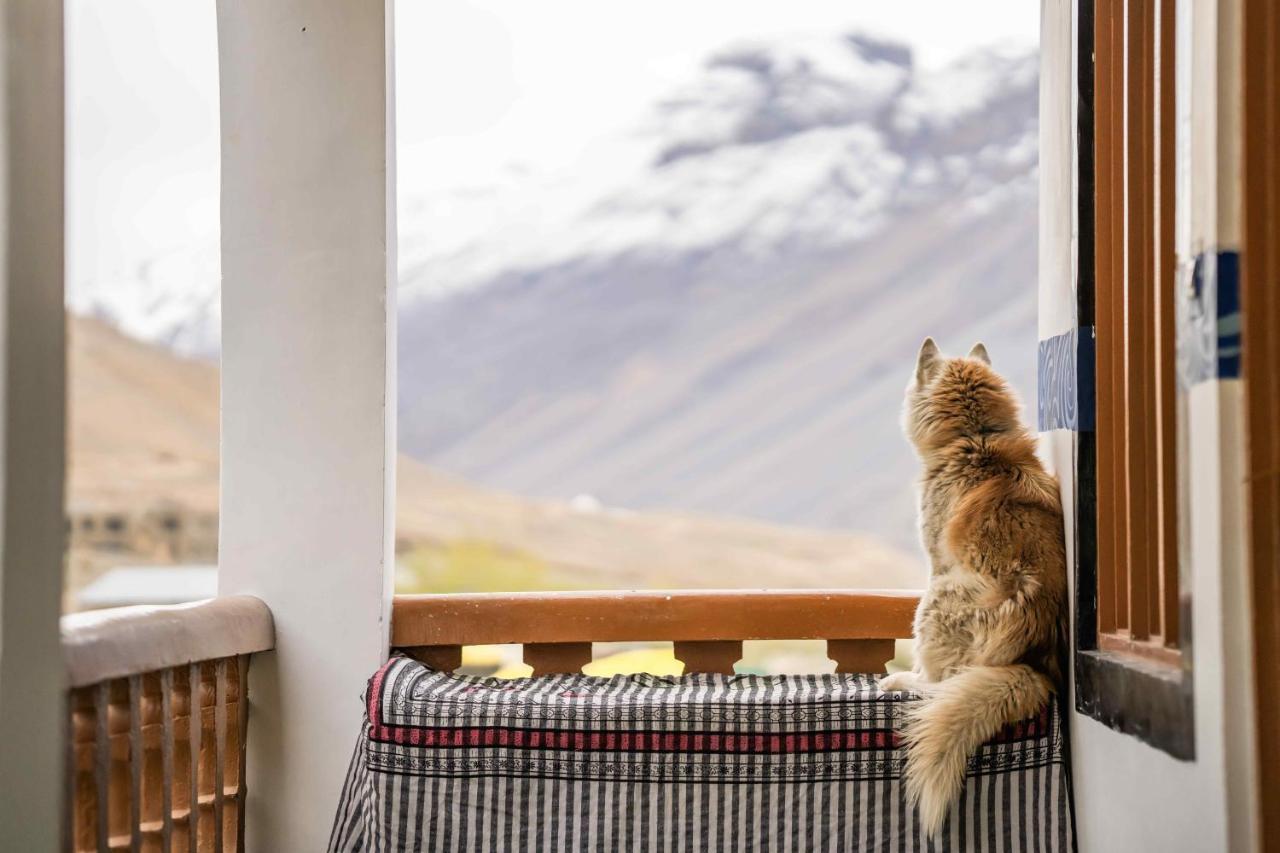 Zostel Spiti Hostel Kaza Buitenkant foto